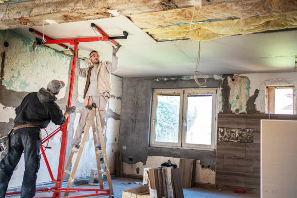 Professional Insulation Contractor in LA