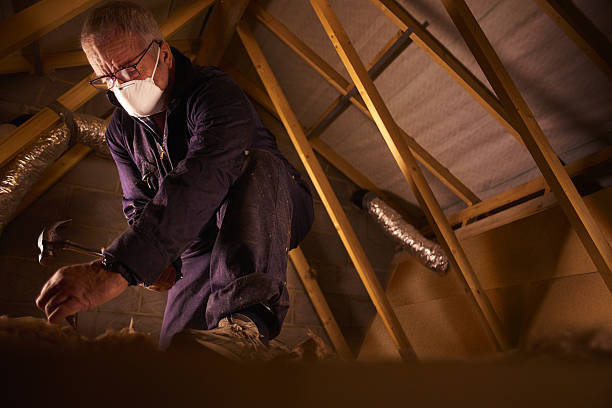 Best Insulation Materials and Products in Charenton, LA